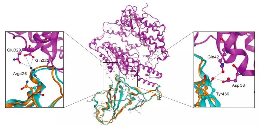 726329a02e604db8a448c01c88279352.jpg 726329a02e604db8a448c01c88279352.jpg