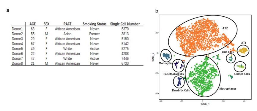 e92582f70cef407993caba5e7aa25991.jpg e92582f70cef407993caba5e7aa25991.jpg