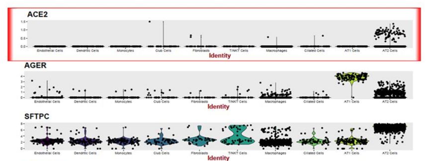 d34a6ec973744e25b9d1593ed55f685c.jpg d34a6ec973744e25b9d1593ed55f685c.jpg